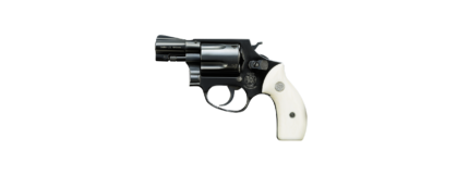 Smith & Wesson